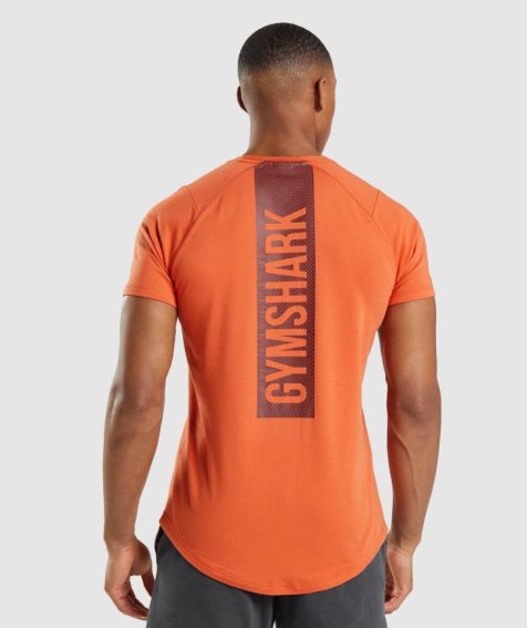 Men's Gymshark Bold T-Shirts Orange | CA 05DA7N